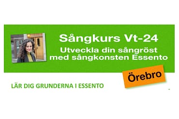 Sånglektioner/sångterapi/röstvård – Örebro